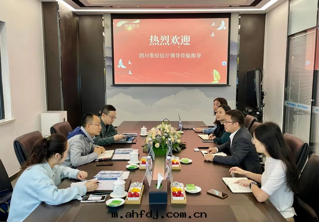 四(sì)川(chuān)省(shěng)經(jīng)信(xìn)廳环資處(chù)領導一(yī)行莅臨碩特(tè)科技實(shí)地(dì)考察